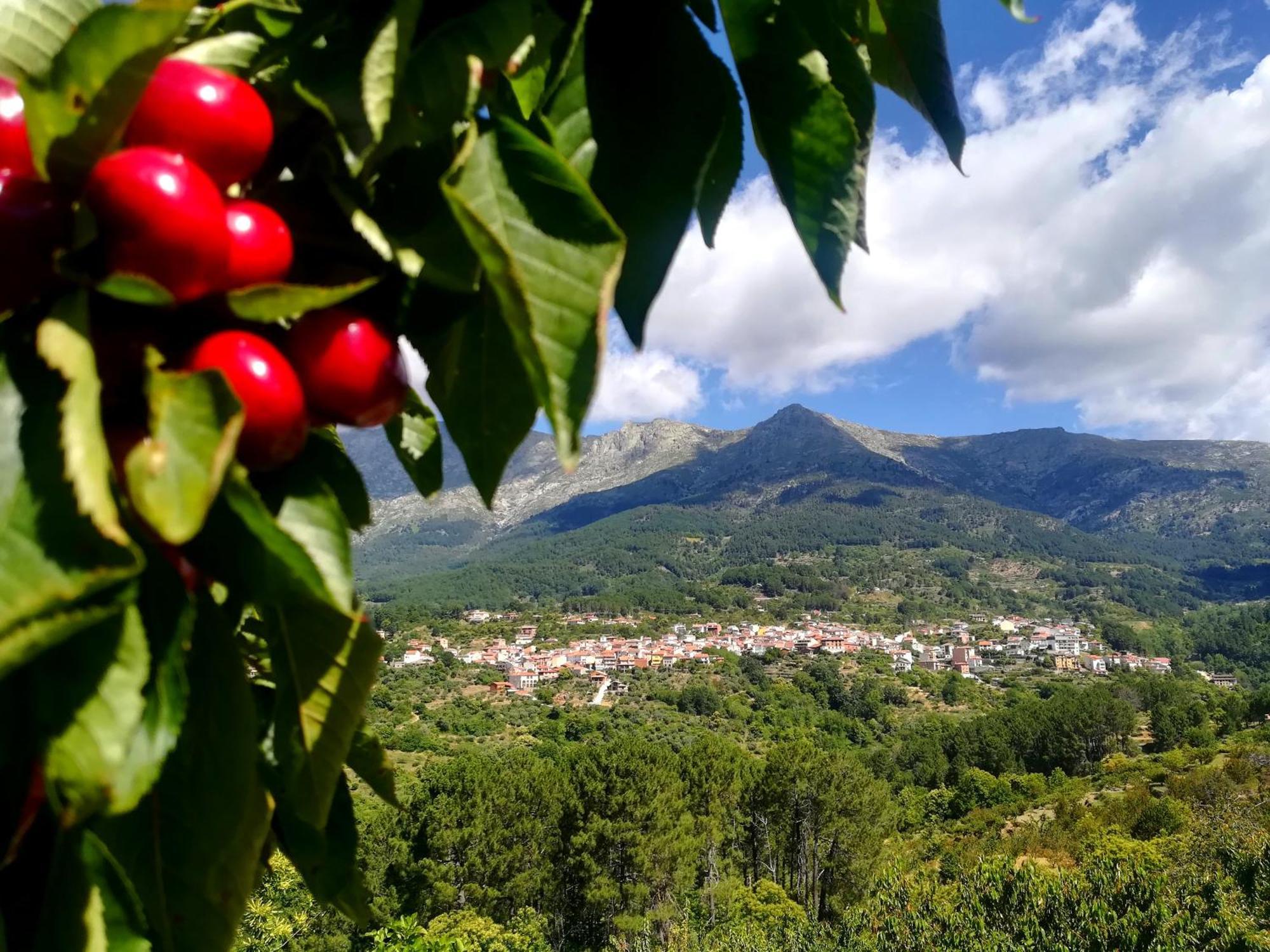 La Albarea By #Cherrygredos 埃尔阿雷纳尔 外观 照片