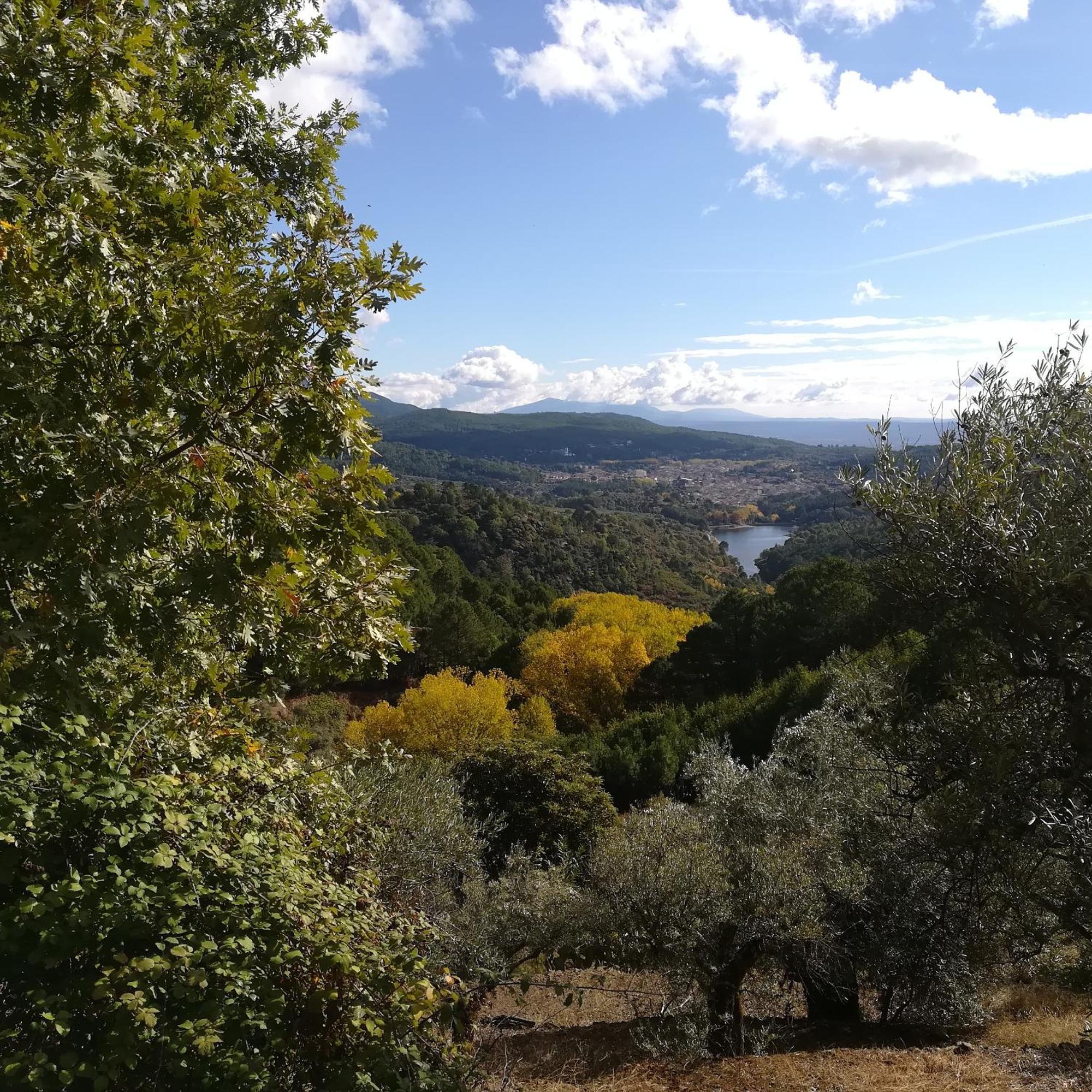 La Albarea By #Cherrygredos 埃尔阿雷纳尔 外观 照片
