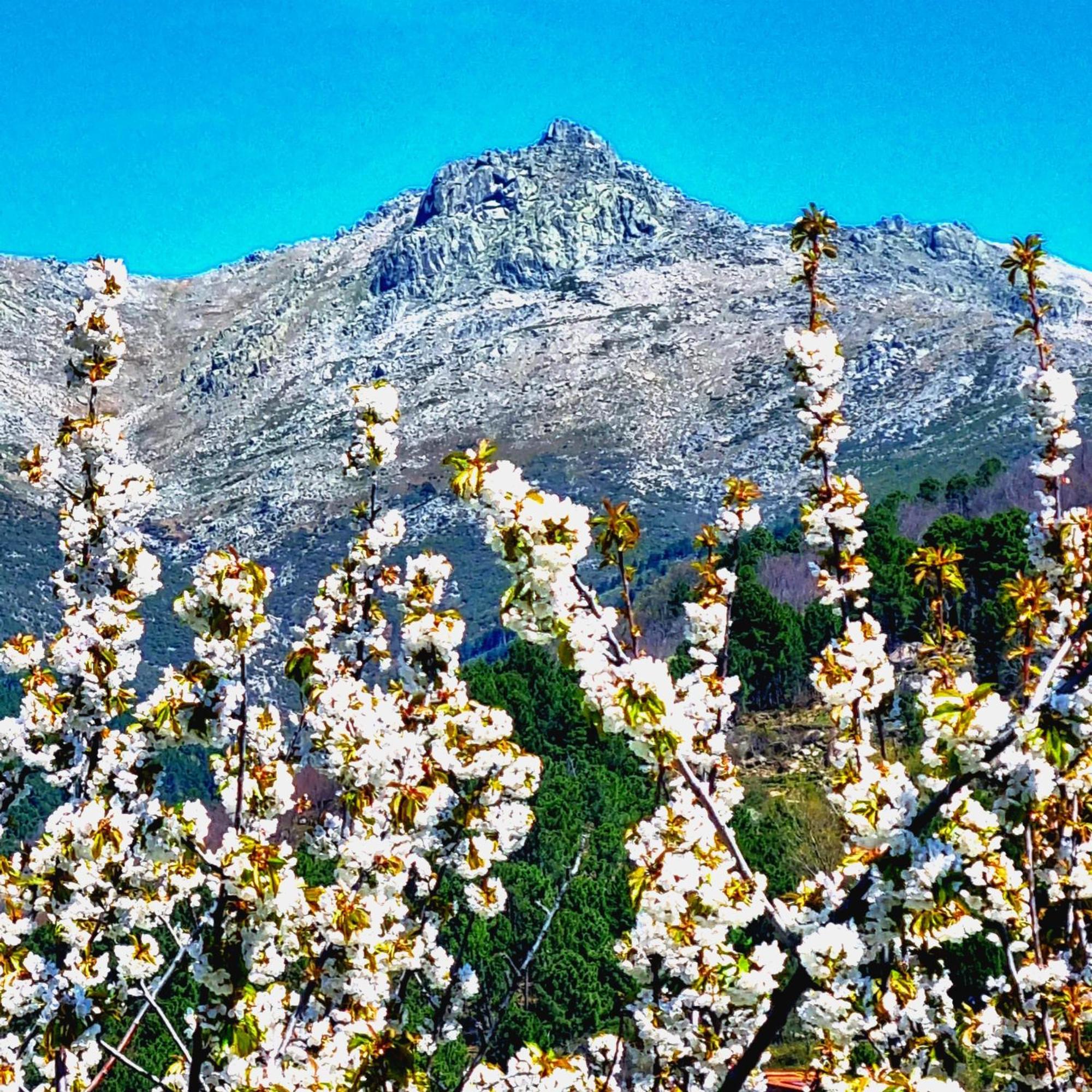 La Albarea By #Cherrygredos 埃尔阿雷纳尔 外观 照片